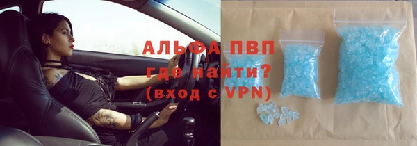 спайс Баксан